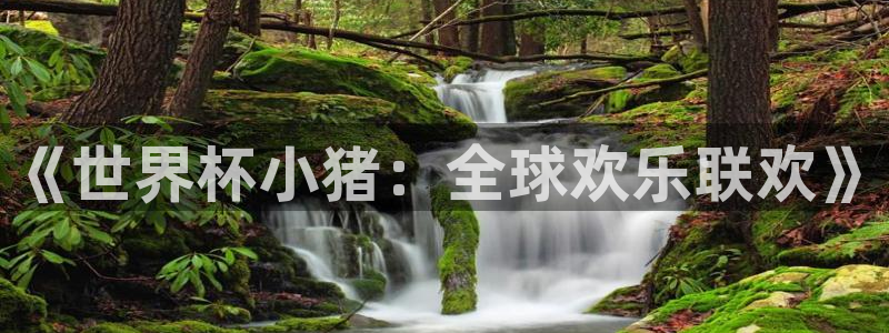 世界杯比赛赛程:《世界杯小猪:全球欢乐联欢》