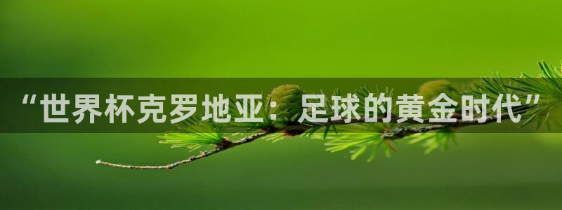 世界杯足球比赛:“世界杯克罗地亚:足球的黄金时代”