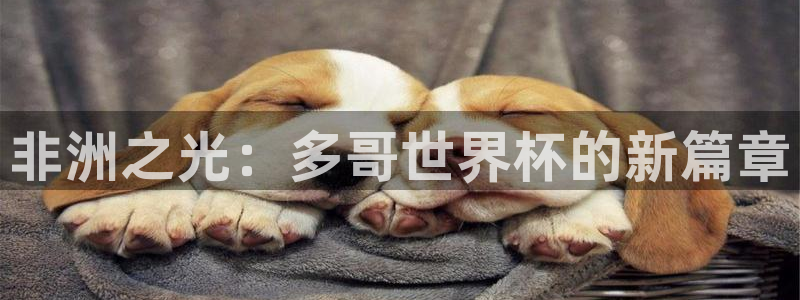 足球世界杯预选赛:非洲之光:多哥世界杯的新篇章