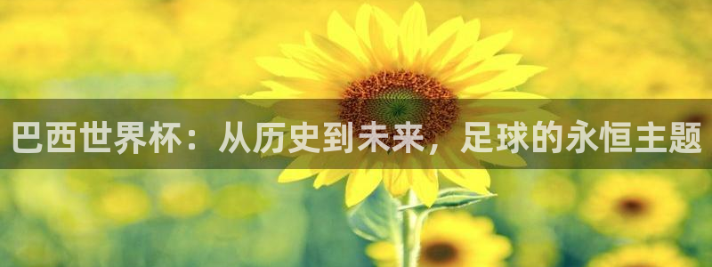 中国 世界杯:巴西世界杯:从历史到未来,足球的永恒主题