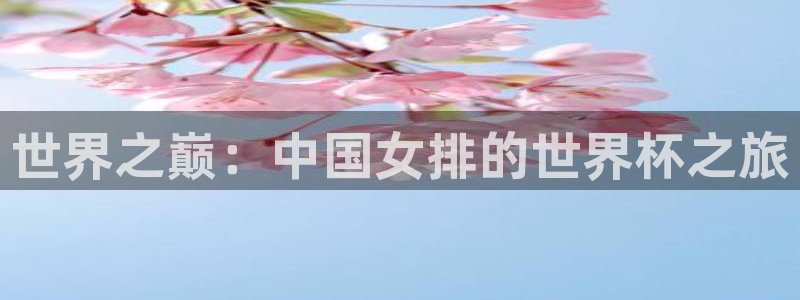 世界杯 中国:世界之巅:中国女排的世界杯之旅