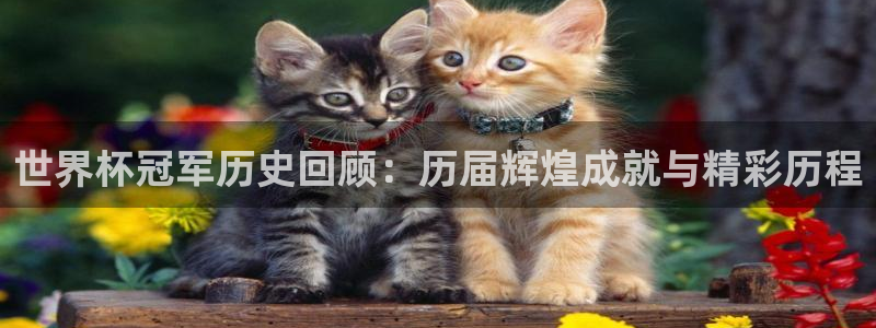 世界杯预选赛亚洲区积分榜:世界杯冠军历史回顾:历届辉煌成就与精彩历程