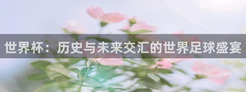 世界杯足球赛:世界杯:历史与未来交汇的世界足球盛宴