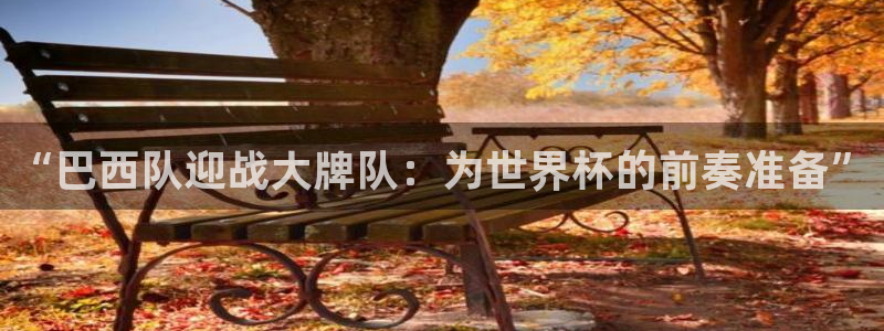 世界杯 直播:“巴西队迎战大牌队:为世界杯的前奏准备”
