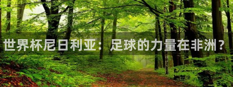 2026世界杯倒计时:世界杯尼日利亚:足球的力量在非洲?