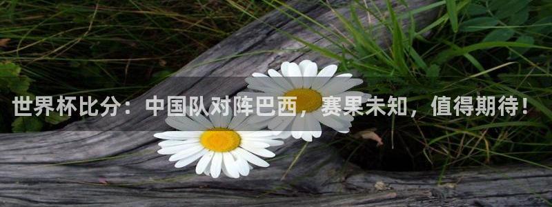 世界杯球赛:世界杯比分:中国队对阵巴西,赛果未知,值得期待!